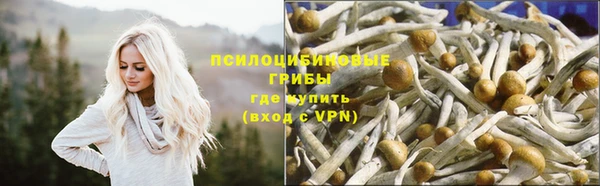каннабис Арсеньев