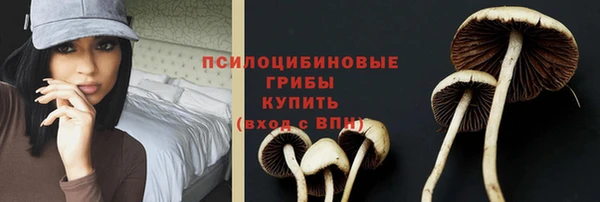 герыч Аркадак