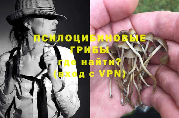 а пвп мука Армянск