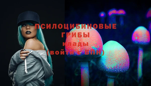 а пвп мука Армянск