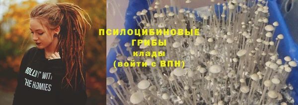 герыч Аркадак