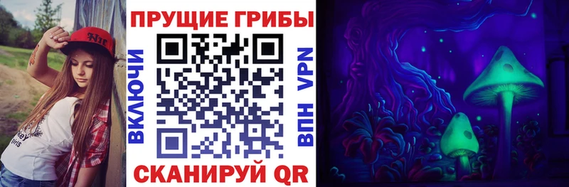 Псилоцибиновые грибы мухоморы ОМГ ОМГ как зайти Губаха